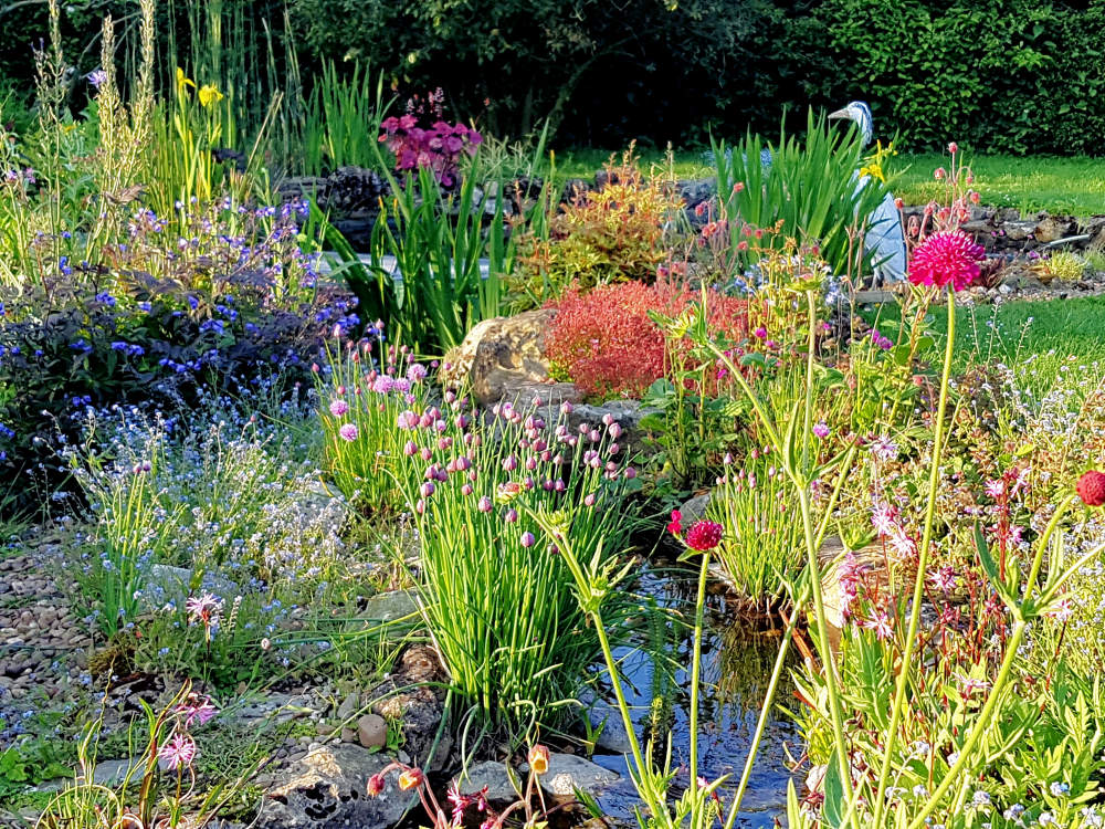 Water Garden in Lenham